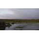 Frame of video Wetland 01. Link to YouTube version in product description.