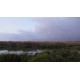 Frame of video Wetland 01. Link to YouTube version in product description.