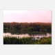 Wetland 01 - Fine Art Poster – Vivid Colors, Eco-Friendly, Giclée Printing