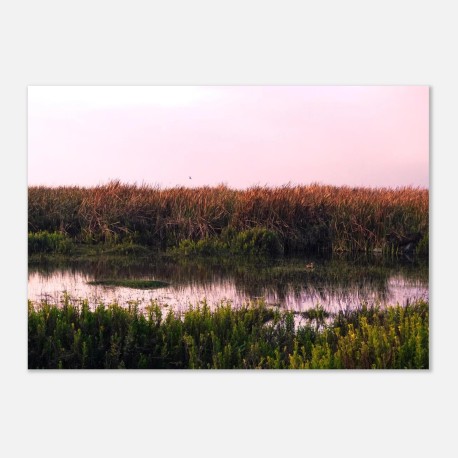 Wetland 01 - Fine Art Poster – Vivid Colors, Eco-Friendly, Giclée Printing