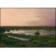 Wetland 02 - Fine Art Poster – A4 (21x29.7 cm / 8x12")