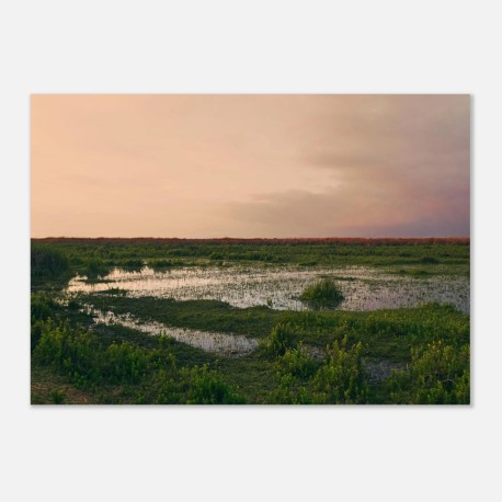 Wetland 02 - Fine Art Poster – A4 (21x29.7 cm / 8x12")